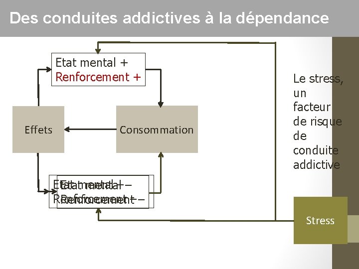 Des conduites addictives à la dépendance Etat mental + Renforcement + Effets Consommation Le