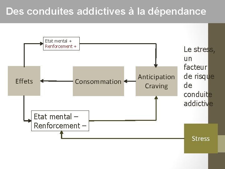 Des conduites addictives à la dépendance Etat mental + Renforcement + Effets Consommation Anticipation