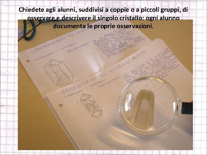 Chiedete agli alunni, suddivisi a coppie o a piccoli gruppi, di osservare e descrivere