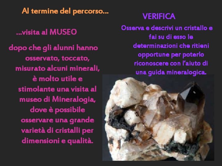 Al termine del percorso… …visita al MUSEO dopo che gli alunni hanno osservato, toccato,