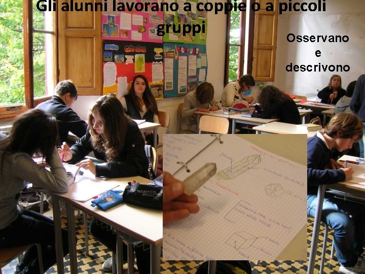 Gli alunni lavorano a coppie o a piccoli gruppi Osservano e descrivono 