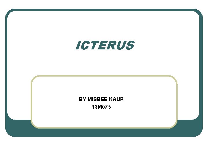 ICTERUS BY MISBEE KAUP 13 M 075 