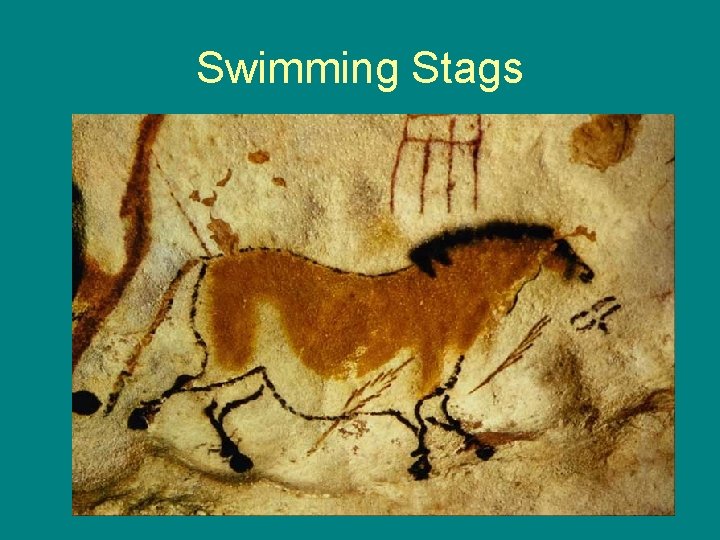 Swimming Stags 
