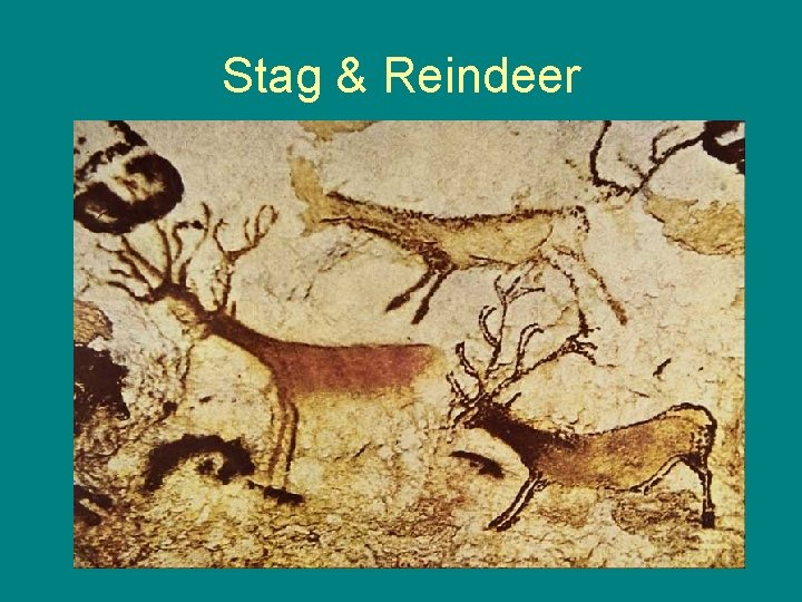 Stag & Reindeer 