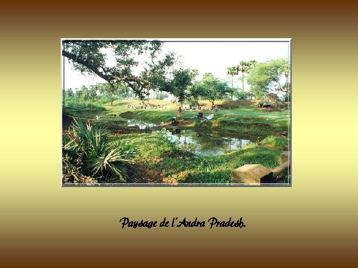 Paysage de l’Andra Pradesh. Paysage de l’Andra Pradesh.