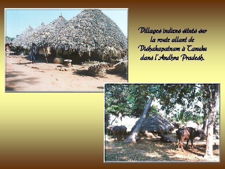 Villages indiens situés sur la route allant de Vishakapatnam à Tanuku dans l’Andhra Pradesh. Villages indiens situés sur la route allant de Vishakapatnam à Tanuku dans l’Andhra Pradesh.