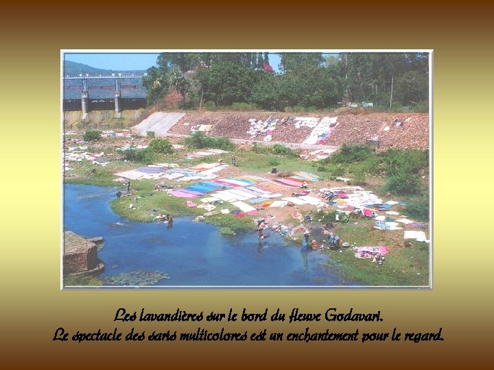 Les lavandières sur le bord du fleuve Godavari. Le spectacle des saris multicolores est Les lavandières sur le bord du fleuve Godavari. Le spectacle des saris multicolores est