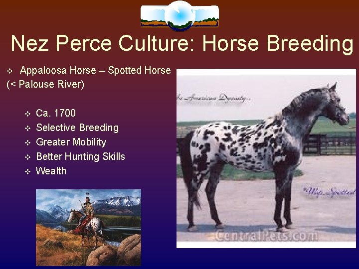 Nez Perce Culture: Horse Breeding Appaloosa Horse – Spotted Horse (< Palouse River) Ca. Nez Perce Culture: Horse Breeding Appaloosa Horse – Spotted Horse (< Palouse River) Ca.