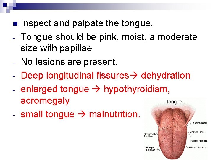 n - Inspect and palpate the tongue. Tongue should be pink, moist, a moderate