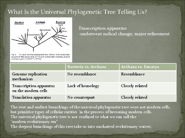 What Is the Universal Phylogenetic Tree Telling Us? Transcription apparatus -underwent radical change, major