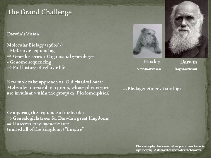 The Grand Challenge Darwin’s Vision Molecular Biology (1960 s’~) - Molecular sequencing ⇒ Gene