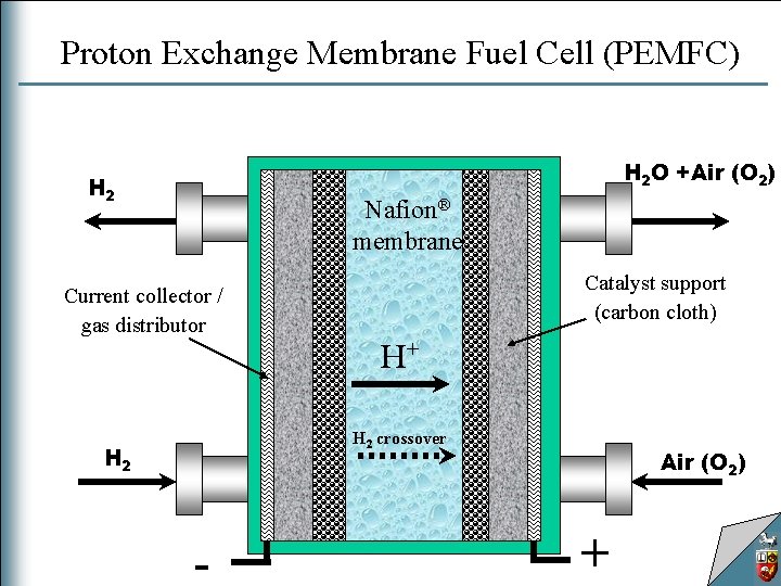 Proton Exchange Membrane Fuel Cell (PEMFC) H 2 O +Air (O 2) H 2