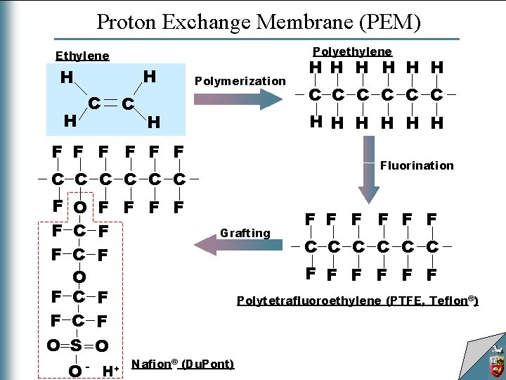 Proton Exchange Membrane (PEM) Polyethylene Ethylene H H H C C Polymerization F F