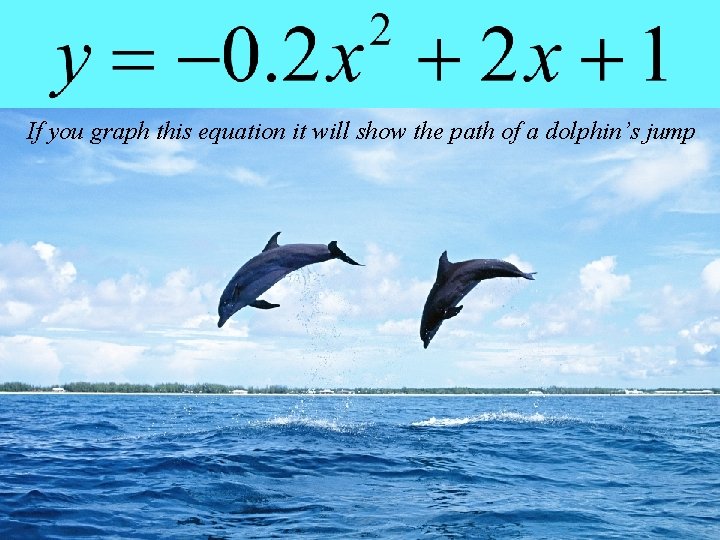 If you graph this equation it will show the path of a dolphin’s jump