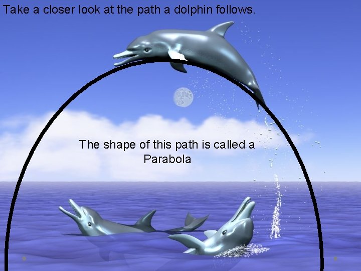 Take a closer look at the path a dolphin follows. The shape of this