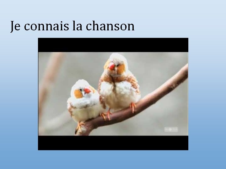 Je connais la chanson 