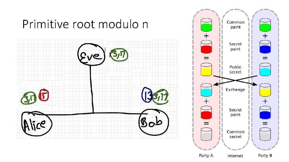 Primitive root modulo n 