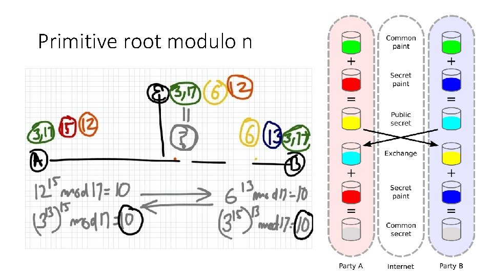 Primitive root modulo n 