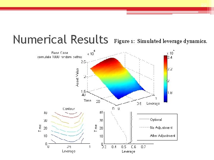 22 Numerical Results Figure 1: Simulated leverage dynamics. 