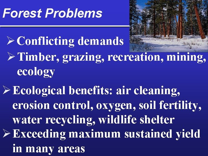 Forest Problems Ø Conflicting demands Ø Timber, grazing, recreation, mining, ecology Ø Ecological benefits: