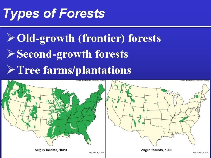 Types of Forests Ø Old-growth (frontier) forests Ø Second-growth forests Ø Tree farms/plantations 