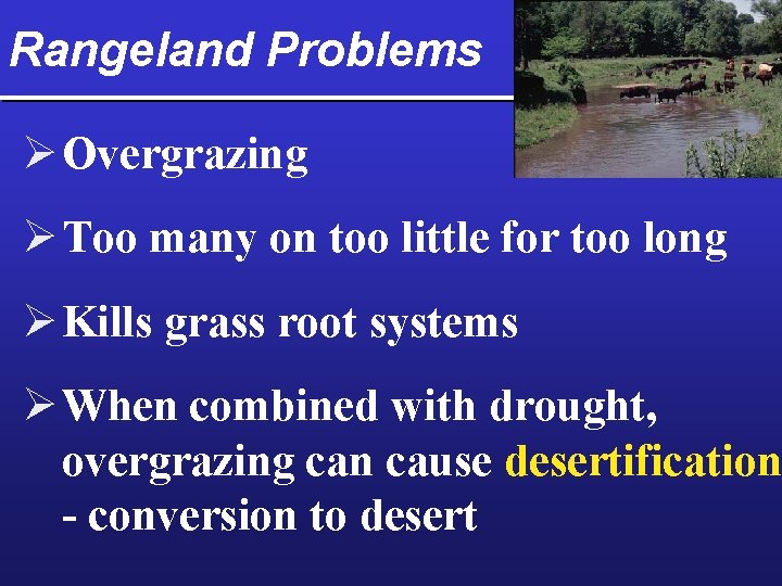 Rangeland Problems Ø Overgrazing Ø Too many on too little for too long Ø