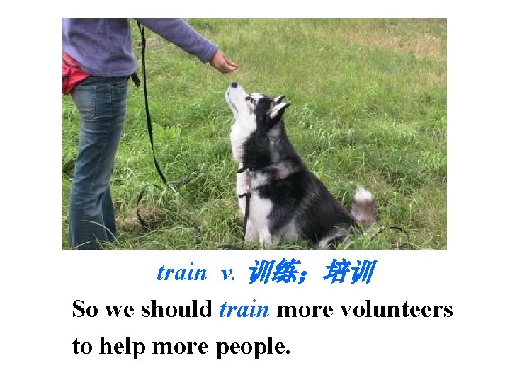 train v. 训练；培训 So we should train more volunteers to help more people. 