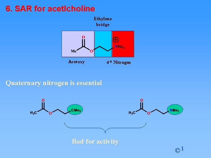 6. SAR for acetlcholine Ethylene bridge Acetoxy 4 o Nitrogen Quaternary nitrogen is essential