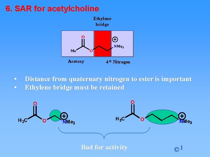 6. SAR for acetylcholine Ethylene bridge Acetoxy • • 4 o Nitrogen Distance from