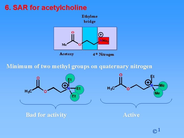 6. SAR for acetylcholine Ethylene bridge Acetoxy 4 o Nitrogen Minimum of two methyl