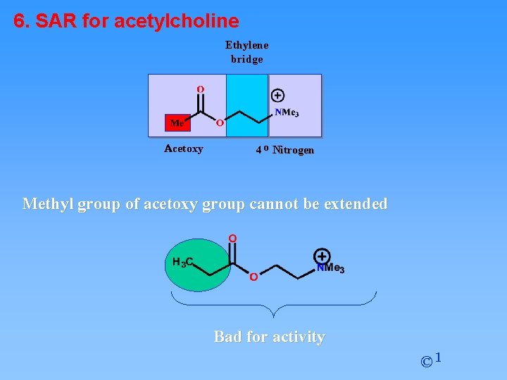 6. SAR for acetylcholine Ethylene bridge Acetoxy 4 o Nitrogen Methyl group of acetoxy