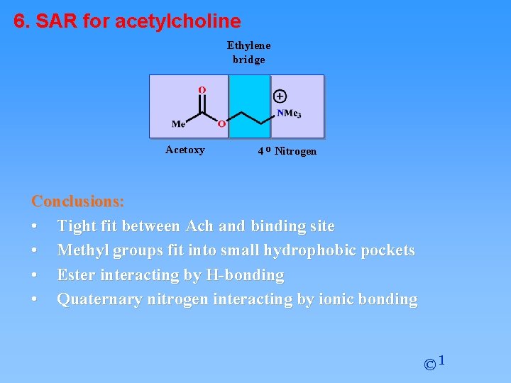 6. SAR for acetylcholine Ethylene bridge Acetoxy 4 o Nitrogen Conclusions: • Tight fit