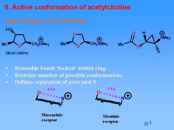 8. Active conformation of acetylcholine Rigid Analogues of acetylcholine • • • Rotatable bonds
