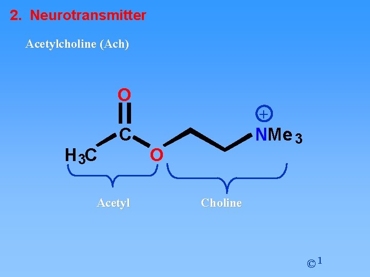 2. Neurotransmitter Acetylcholine (Ach) O + C H 3 C Acetyl NMe 3 O