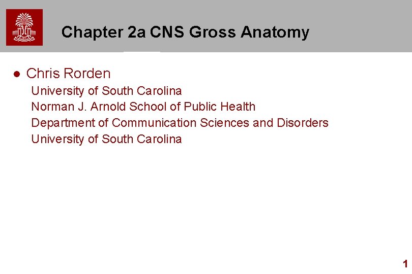 Chapter 2 a CNS Gross Anatomy l Chris Rorden University of South Carolina Norman Chapter 2 a CNS Gross Anatomy l Chris Rorden University of South Carolina Norman