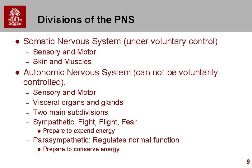 Divisions of the PNS l Somatic Nervous System (under voluntary control) – – l Divisions of the PNS l Somatic Nervous System (under voluntary control) – – l
