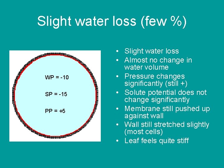 Slight water loss (few %) WP = -10 SP = -15 PP = +5