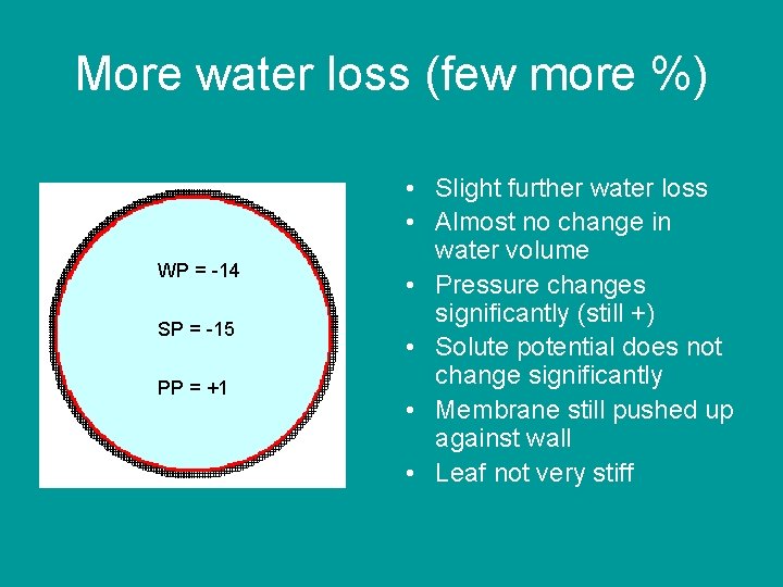 More water loss (few more %) WP = -14 SP = -15 PP =