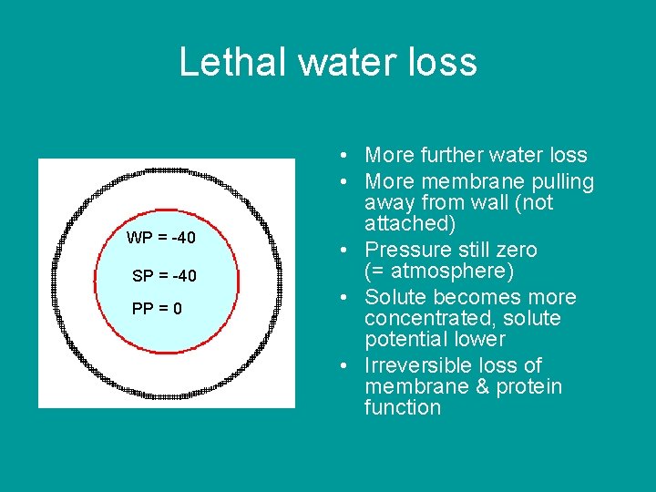 Lethal water loss WP = -40 SP = -40 PP = 0 • More