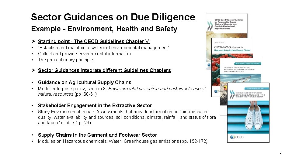 Sector Guidances on Due Diligence Example - Environment, Health and Safety Ø Starting point