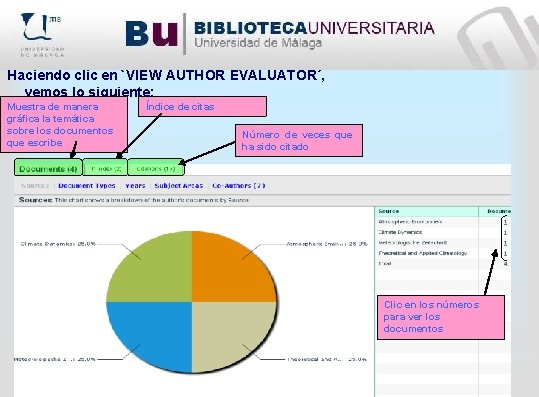 Haciendo clic en `VIEW AUTHOR EVALUATOR´, vemos lo siguiente: Muestra de manera gráfica la