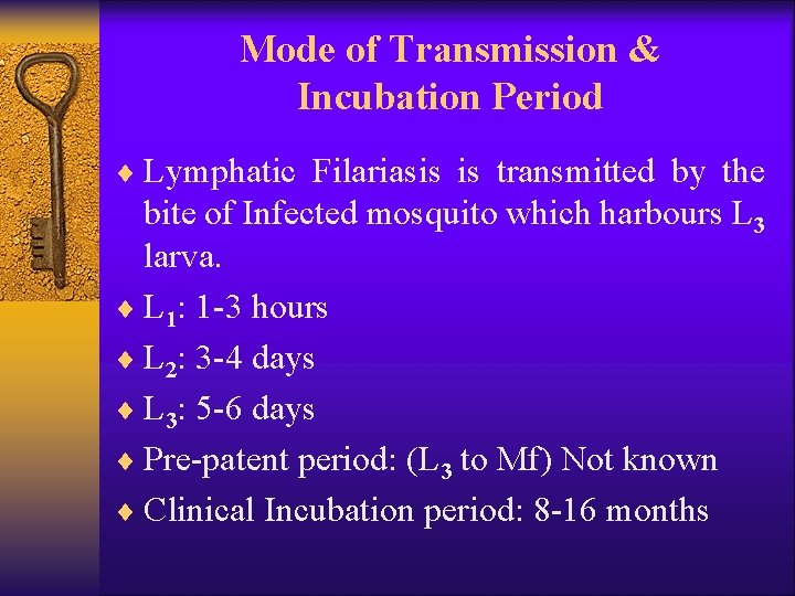 Mode of Transmission & Incubation Period ¨ Lymphatic Filariasis is transmitted by the bite