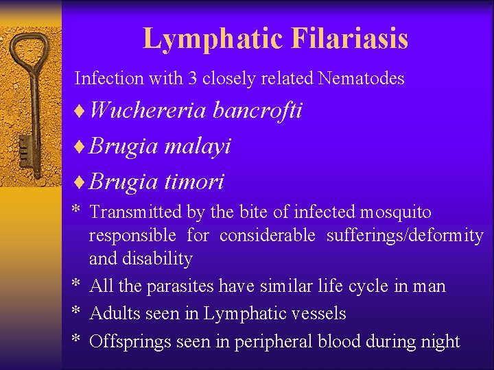 Lymphatic Filariasis Infection with 3 closely related Nematodes ¨ Wuchereria bancrofti ¨ Brugia malayi