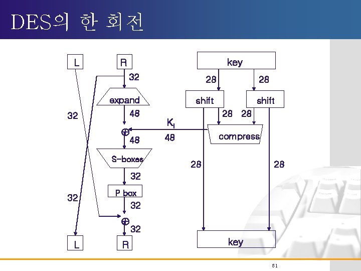 DES의 한 회전 L key R 32 32 expand 48 48 S-boxes 28 28