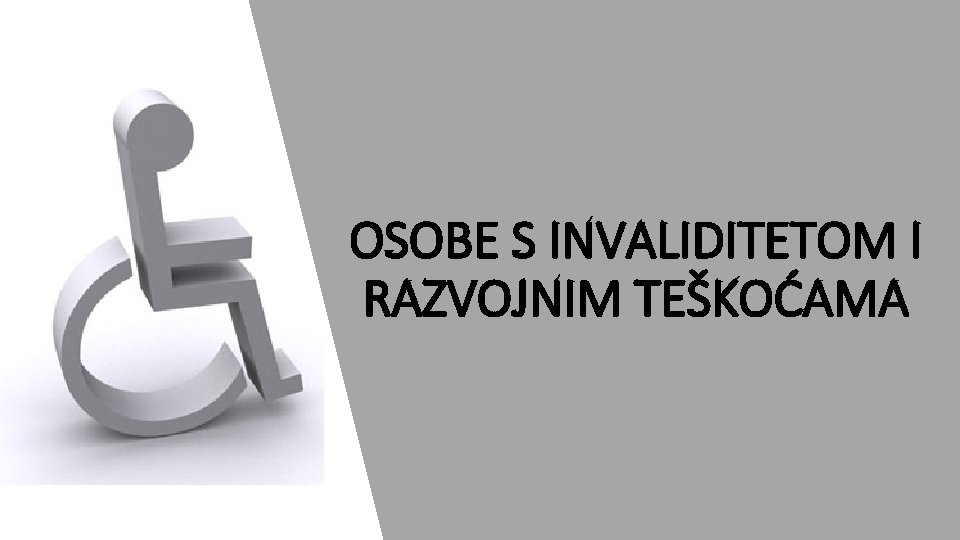 OSOBE S INVALIDITETOM I RAZVOJNIM TEŠKOĆAMA 