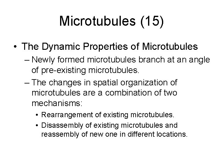 Microtubules (15) • The Dynamic Properties of Microtubules – Newly formed microtubules branch at