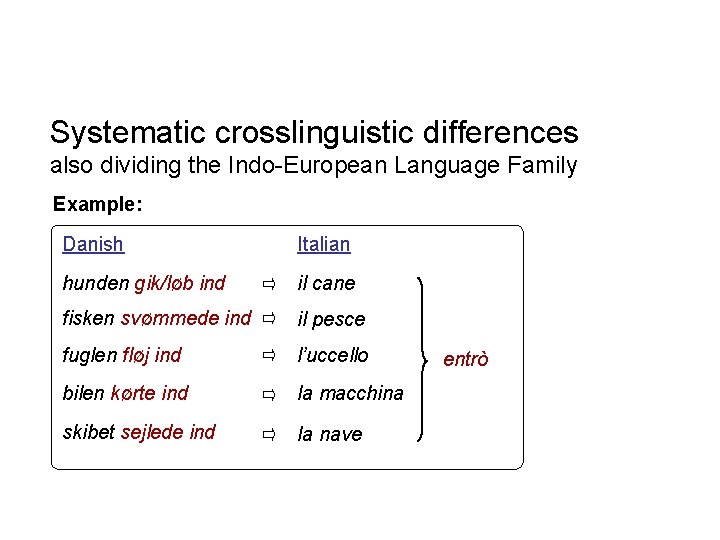 Systematic crosslinguistic differences also dividing the Indo-European Language Family Example: Danish Italian hunden gik/løb