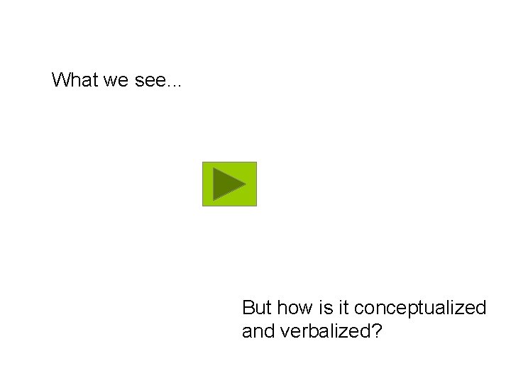 What we see. . . But how is it conceptualized and verbalized? 