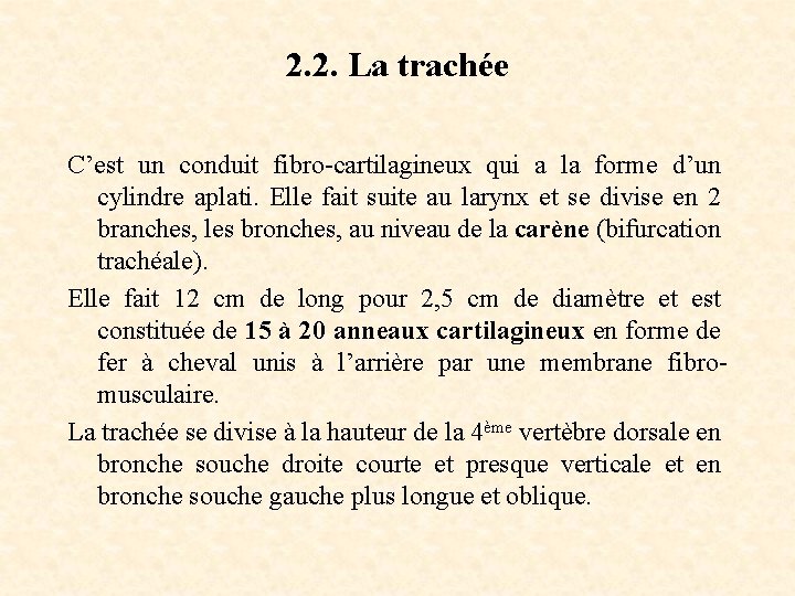 2. 2. La trachée C’est un conduit fibro-cartilagineux qui a la forme d’un cylindre