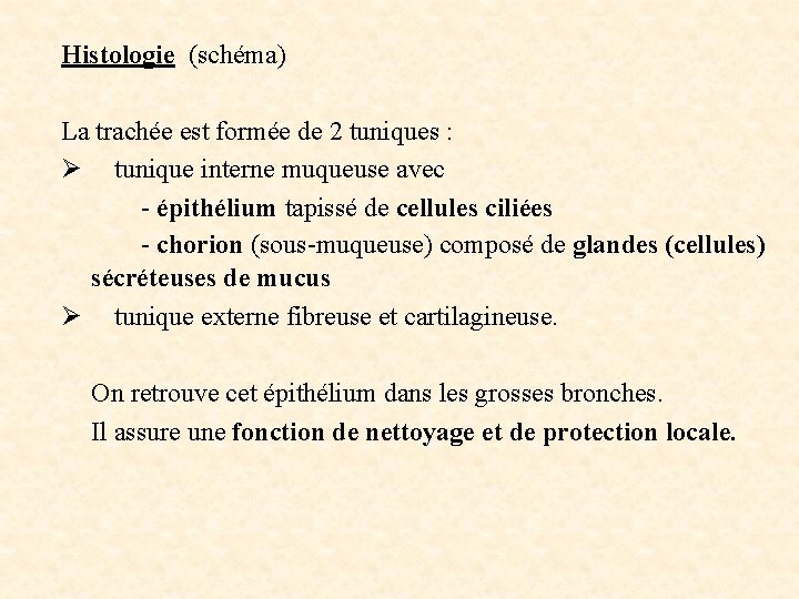 Histologie (schéma) La trachée est formée de 2 tuniques : Ø tunique interne muqueuse